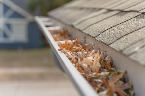 Leaf Barrier Installation in Walla Walla